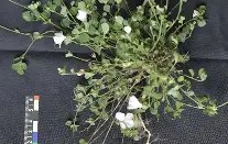 爱游戏官方下载-溽#Q?摳瓪1)躣囙?K篱 